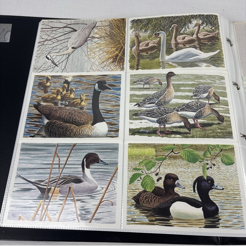 69 - 2 large albums containing 400+ modern bird & wildlife postcards together with a collection of 200+ v... 