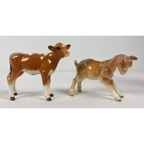 2 Beswick ceramic models of farm animals modelled by Arthur Gredington. #1249A Guernsey calf in gloss finish together with #1036 Kid in tan - issued from 1945-71. Tallest approx. 7cm.