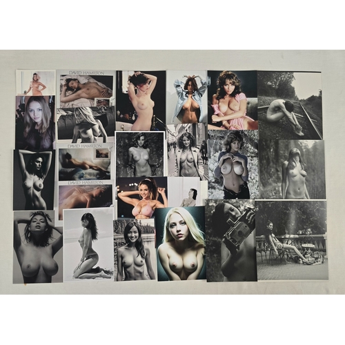 102 - A large collection of assorted adult erotic & glamour photographic prints and pages removed from boo... 