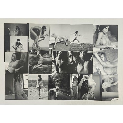 102 - A large collection of assorted adult erotic & glamour photographic prints and pages removed from boo... 