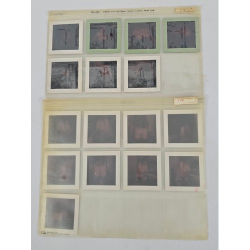 Lot 60        
