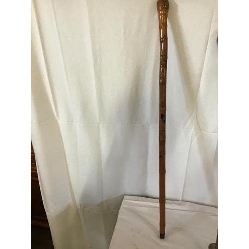 79 - QTY OF WALKING CANES & SHOOTING STICK ETC