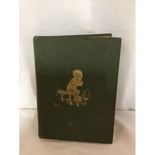 127 - BOOK - PETER PAN IN KENSINGTON GARDENS BY J. M BARRIE - ILLUSTRATED BY ARTHUR RACKHAM GREEN BOOK WIT... 