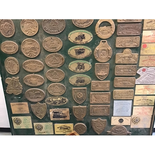 13 - QTY OF MOUNTED BRASS SHOW PLAQUES AND QTY OF LOOSE BRASS PLAQUES