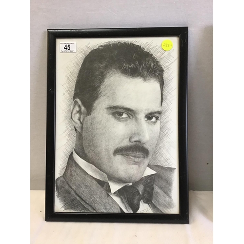 45 - 2 X FREDDIE MERCURY FRAMED PICTURES