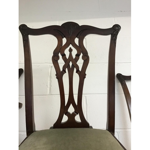 203 - 6 MAHOGANY CHIPPENDALE STYLE DINING CHAIRS ON CLAW & BALL FEET TO INCLUDE 2 CARVERS & 4 DINERS