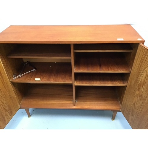 250 - 2 DOOR VINTAGE CABINET - 42