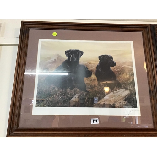 379 - 2 ARTISTS SIGNED PRINTS OF BLACK LABRADORS ONE BY FREDRICK J HAYCOCK