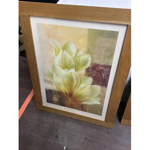 383 - 2 MODERN FRAMED PRINTS OF FLOWERS
28.5 X 36