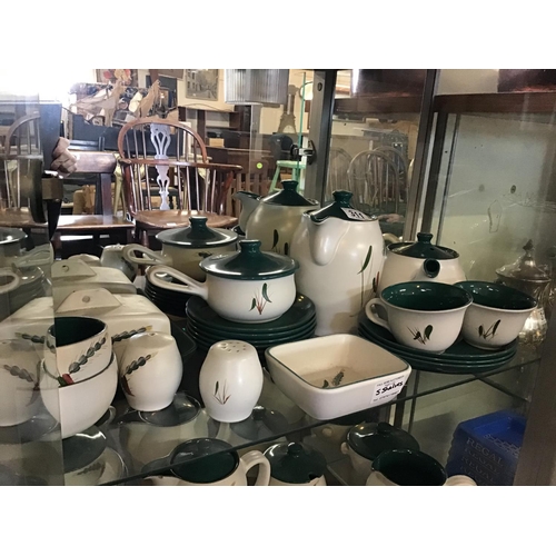 311 - 5 SHELVES OF DENBY GREEN WHEAT CHINA TO INCLUDE TEA POTS, VEGETABLE DISHES, JUGS ETC