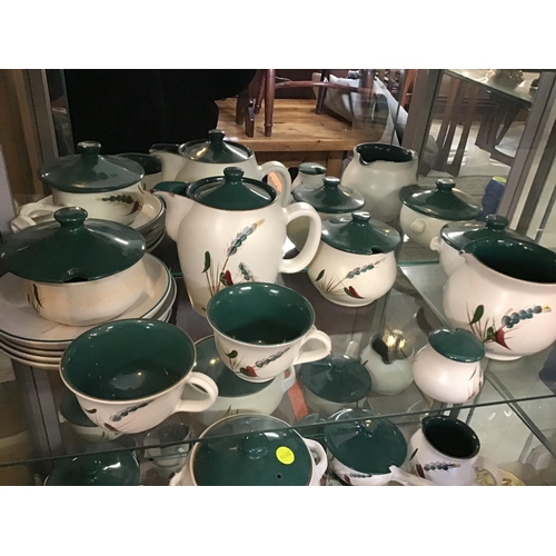 311 - 5 SHELVES OF DENBY GREEN WHEAT CHINA TO INCLUDE TEA POTS, VEGETABLE DISHES, JUGS ETC