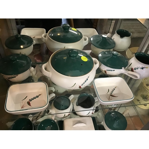 311 - 5 SHELVES OF DENBY GREEN WHEAT CHINA TO INCLUDE TEA POTS, VEGETABLE DISHES, JUGS ETC