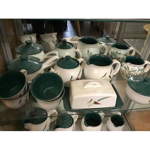 311 - 5 SHELVES OF DENBY GREEN WHEAT CHINA TO INCLUDE TEA POTS, VEGETABLE DISHES, JUGS ETC