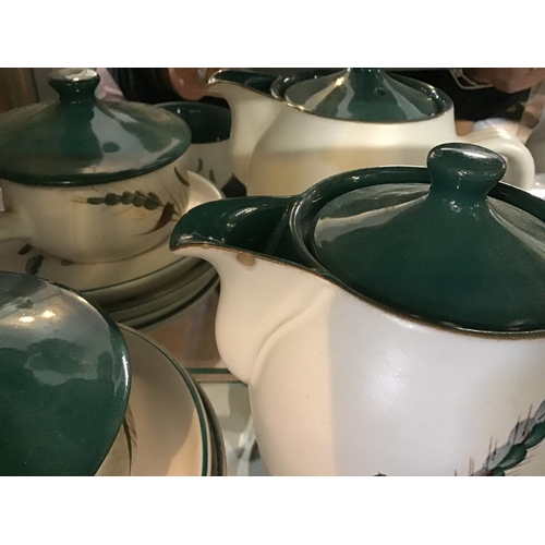 311 - 5 SHELVES OF DENBY GREEN WHEAT CHINA TO INCLUDE TEA POTS, VEGETABLE DISHES, JUGS ETC