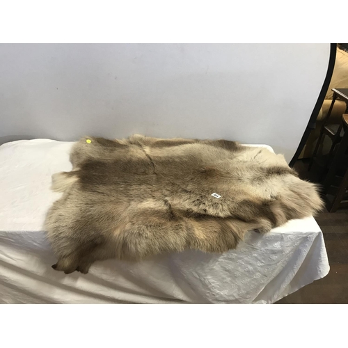 464 - REINDEER SKIN
L 45