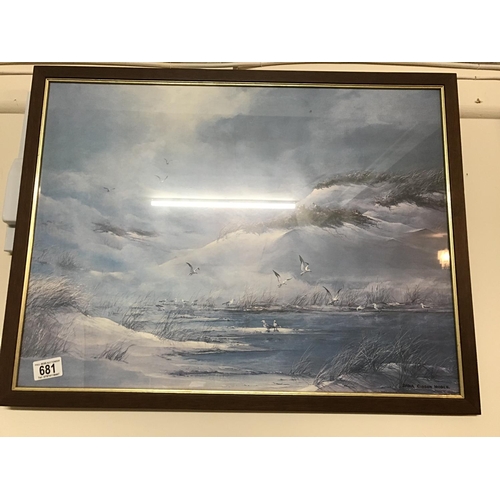 681 - PAIR OF FRAMED DIANNA GIBSON NOBEL PRINTS