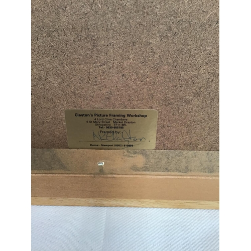 7 - REPRODUCTION FRAMED CAROLINE ARBER PRINT - 26