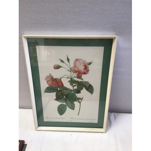 36 - QTY OF PICTURES & PRINTS TO INCLUDE OILS ON CANVAS