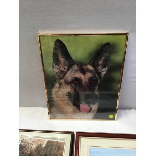 36 - QTY OF PICTURES & PRINTS TO INCLUDE OILS ON CANVAS