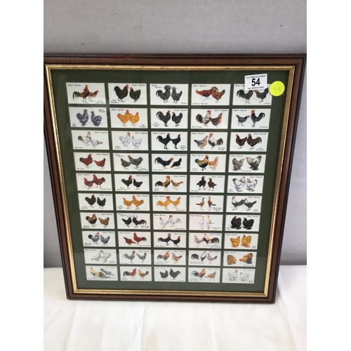 54 - QTY OF FRAMED PICTURES TO INCLUDE CIGARETTE CARDS ETC