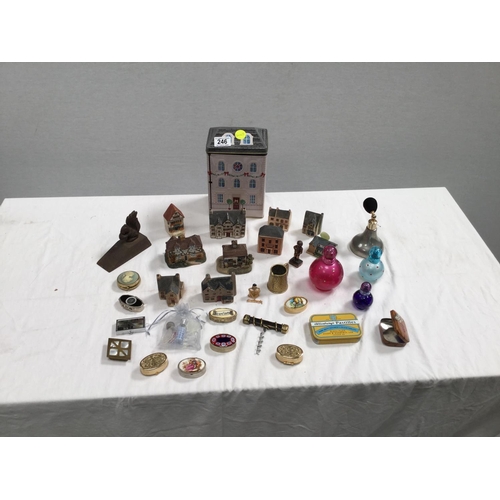 Lot 246       