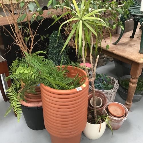 Lot 290       