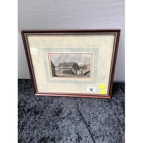 Lot 16        