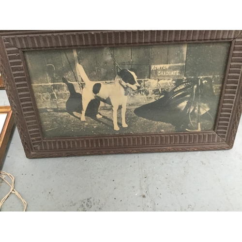 119 - QTY OF VINTAGE AND VICTORIAN PICTURES TO INCLUDE SUBJECTS OF DOGS, WINTER SCENES ETC