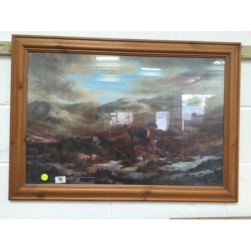 79 - HIGHLAND STAG FRAMED PRINT - 34