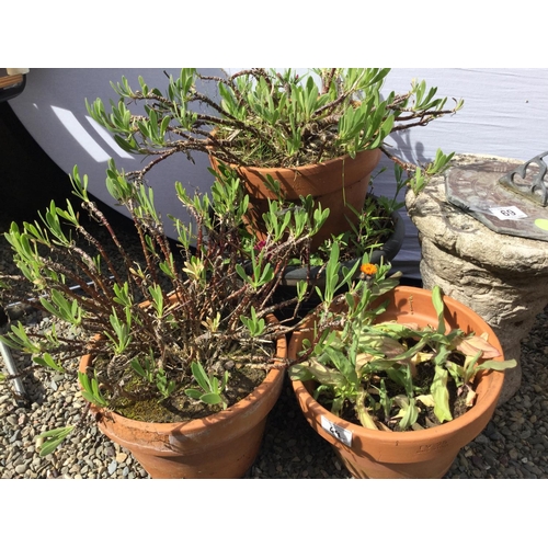 69 - GARDEN SUNDIAL GARDEN PLANTER AND 4 GARDEN POTS