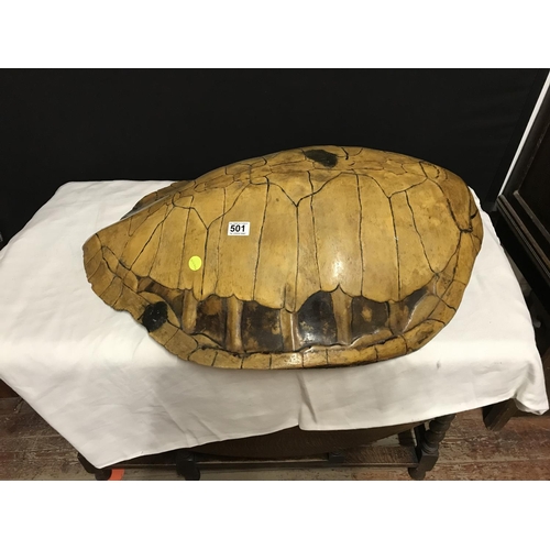 501 - VICTORIAN TURTLE SHELL (INSIDE MEASUREMENT 31 X 28)