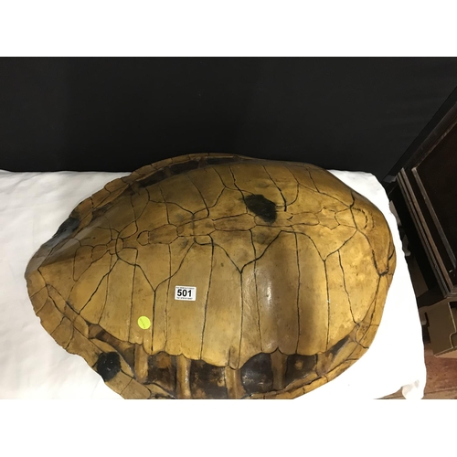 501 - VICTORIAN TURTLE SHELL (INSIDE MEASUREMENT 31 X 28)