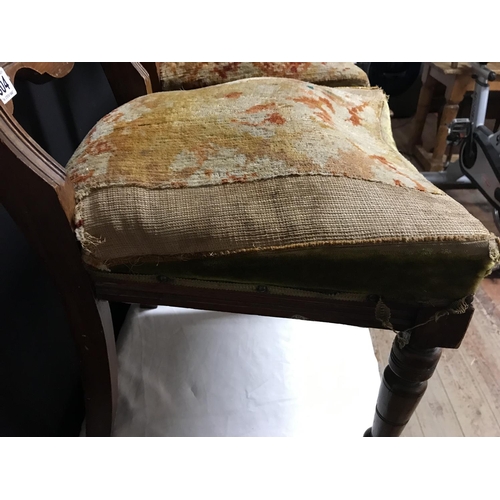 504 - 2 EDWARDIAN UPHOLSTERED DINING CHAIRS