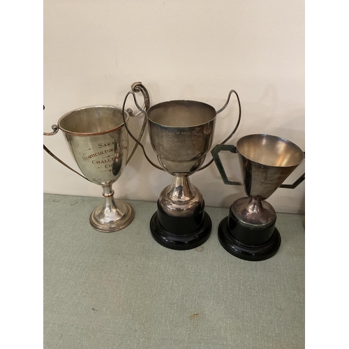 364 - QTY OF PLATED TROPHYS