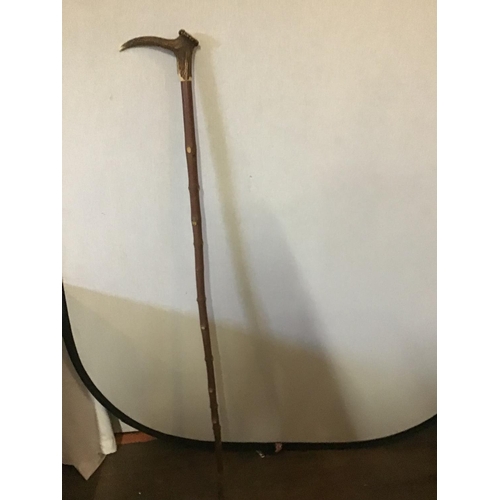 257 - 2 WALKING CANES 1 WITH HORN HANDLE