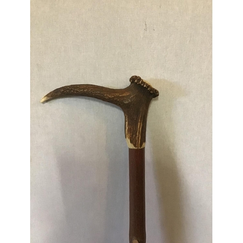 257 - 2 WALKING CANES 1 WITH HORN HANDLE