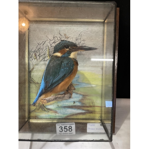 358 - GLASS CASED TAXIDERMY KINGFISHER