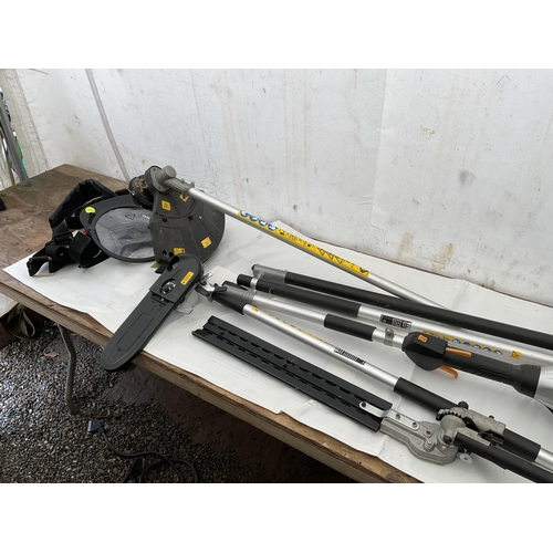 61 - PETROL STRIMMER SAS