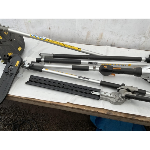 61 - PETROL STRIMMER SAS