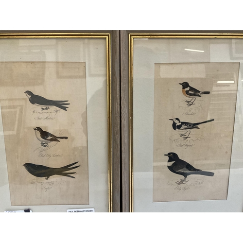 66 - SET OF 4 BIRD PICTURES - 11