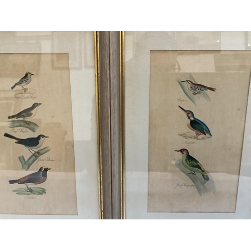 66 - SET OF 4 BIRD PICTURES - 11