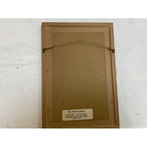 66 - SET OF 4 BIRD PICTURES - 11