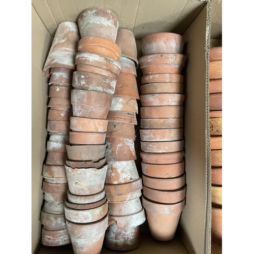 204 - 3 BOXES OF VINTAGE TERRACOTTA POTS