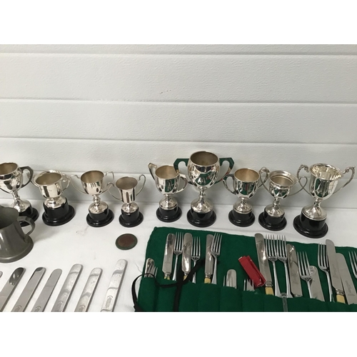 80 - BOX OF CUTLERY, TROPHIES ETC