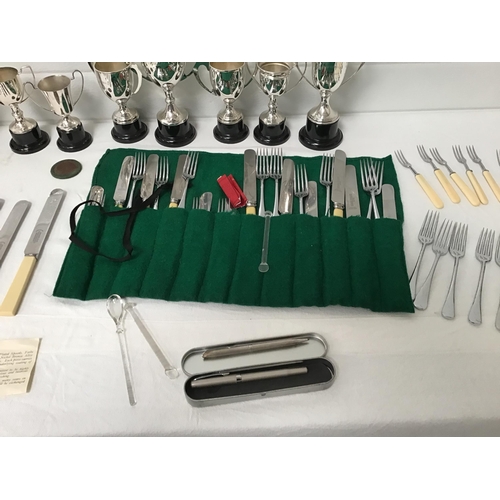 80 - BOX OF CUTLERY, TROPHIES ETC