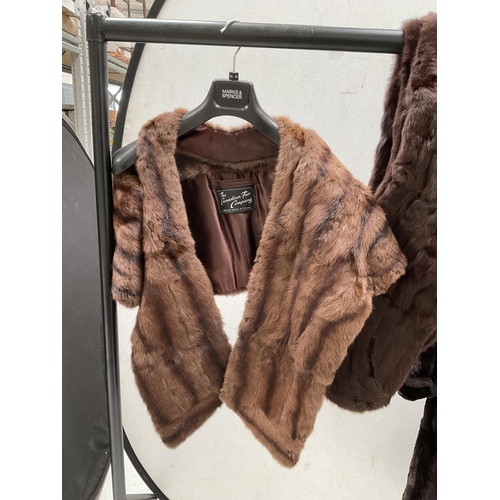 225 - CANADIAN FUR CO 3/4 LADIES FUR COAT AND CANADIAN FUR CO FUR SHOAL AND FURTHER FUR SHOAL