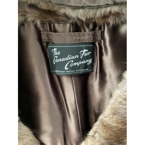 225 - CANADIAN FUR CO 3/4 LADIES FUR COAT AND CANADIAN FUR CO FUR SHOAL AND FURTHER FUR SHOAL