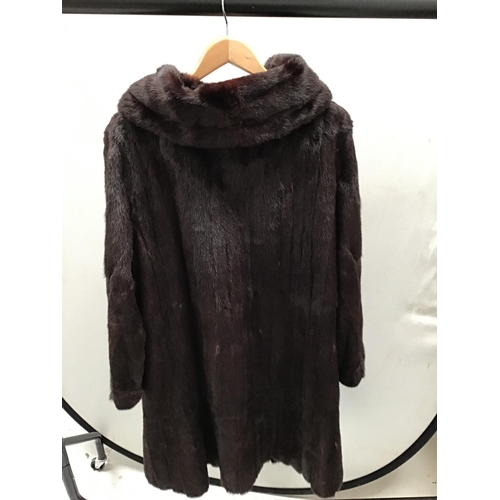 226 - FAULKES EDGBASTON BIRMINGHAM NUMBERED 13604 3/4 LENGTH LADIES COLLARED FUR COAT