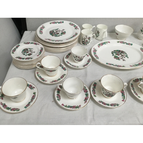 48 - LARGE BERKSHIRE ENGLISH BONE CHINA DINNER AND TEA SERVICE (70 PIECES)