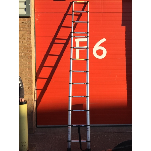 117 - EXTENDING PORTABLE LADDER